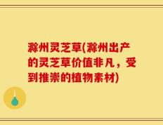 滁州灵芝草(滁州出产的灵芝草价值非凡，受到推崇的植物素材)