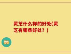 灵芝什么样的好处(灵芝有哪些好处？)