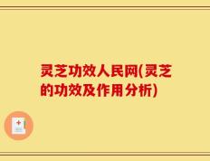 灵芝功效人民网(灵芝的功效及作用分析)