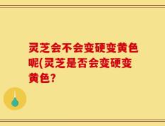 灵芝会不会变硬变黄色呢(灵芝是否会变硬变黄色？