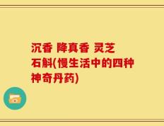 沉香 降真香 灵芝 石斛(慢生活中的四种神奇丹药)