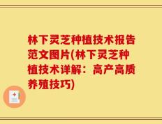 林下灵芝种植技术报告范文图片(林下灵芝种植技术详解：高产高质养殖技巧)