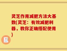 灵芝作用减肥方法大基数(灵芝：有效减肥利器，教你正确搭配使用)