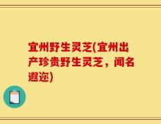 宜州野生灵芝(宜州出产珍贵野生灵芝，闻名遐迩)