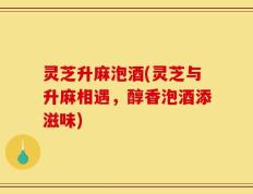 灵芝升麻泡酒(灵芝与升麻相遇，醇香泡酒添滋味)