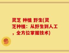 灵芝 种植 野生(灵芝种植：从野生到人工，全方位掌握技术)