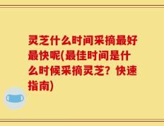 灵芝什么时间采摘最好最快呢(最佳时间是什么时候采摘灵芝？快速指南)