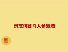 灵芝何首乌人参泡酒