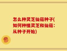 怎么种灵芝仙菇种子(如何种植灵芝和仙菇：从种子开始)