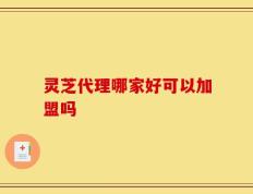 灵芝代理哪家好可以加盟吗