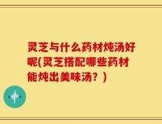 灵芝与什么药材炖汤好呢(灵芝搭配哪些药材能炖出美味汤？)