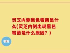 灵芝内侧黑色霉菌是什么(灵芝内侧出现黑色霉菌是什么原因？)
