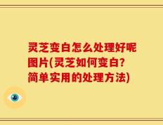 灵芝变白怎么处理好呢图片(灵芝如何变白？简单实用的处理方法)