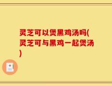 灵芝可以煲黑鸡汤吗(灵芝可与黑鸡一起煲汤)