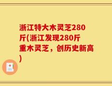 浙江特大木灵芝280斤(浙江发现280斤重木灵芝，创历史新高)