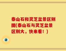 泰山石和灵芝盆景区别图(泰山石与灵芝盆景区别大，快来看！)