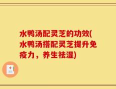 水鸭汤配灵芝的功效(水鸭汤搭配灵芝提升免疫力，养生祛湿)
