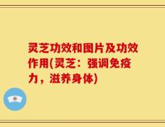 灵芝功效和图片及功效作用(灵芝：强调免疫力，滋养身体)