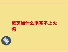 灵芝加什么泡茶不上火吗
