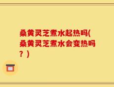 桑黄灵芝煮水起热吗(桑黄灵芝煮水会变热吗？)
