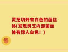 灵芝切开有白色的菌丝体(发现灵芝内部菌丝体有惊人白色！)