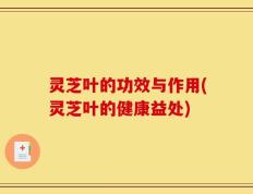 灵芝叶的功效与作用(灵芝叶的健康益处)