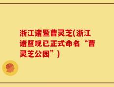 浙江诸暨曹灵芝(浙江诸暨现已正式命名“曹灵芝公园”)