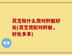 灵芝和什么煲对肝脏好处(灵芝煲配对肝脏，好处多多)