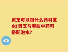 灵芝可以跟什么药材煮水(灵芝与哪些中药可搭配泡水？