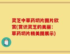 灵芝中草药切片图片欣赏(赏识灵芝的美丽：草药切片精美图展示)