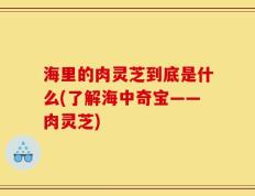 海里的肉灵芝到底是什么(了解海中奇宝——肉灵芝)