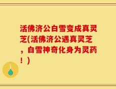 活佛济公白雪变成真灵芝(活佛济公遇真灵芝，白雪神奇化身为灵药！)