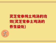 灵芝党参炖土鸡汤的功效(灵芝党参土鸡汤的养生益处)