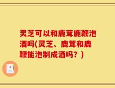 灵芝可以和鹿茸鹿鞭泡酒吗(灵芝、鹿茸和鹿鞭能泡制成酒吗？)