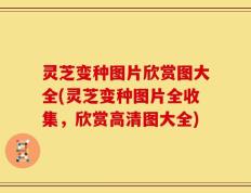 灵芝变种图片欣赏图大全(灵芝变种图片全收集，欣赏高清图大全)