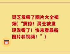 灵芝发霉了图片大全视频(“震惊！灵芝被发现发霉了！快来看最新图片和视频！”)