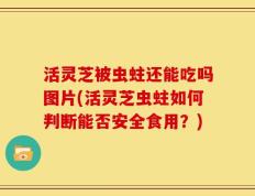 活灵芝被虫蛀还能吃吗图片(活灵芝虫蛀如何判断能否安全食用？)
