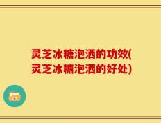 灵芝冰糖泡洒的功效(灵芝冰糖泡洒的好处)
