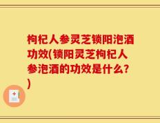 枸杞人参灵芝锁阳泡酒功效(锁阳灵芝枸杞人参泡酒的功效是什么？)