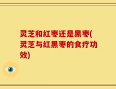 灵芝和红枣还是黑枣(灵芝与红黑枣的食疗功效)