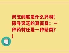 灵芝到底是什么药材(探寻灵芝的真面目：一种药材还是一种菇类？)