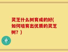 灵芝什么树育成的好(如何培育出优质的灵芝树？)