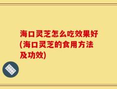 海口灵芝怎么吃效果好(海口灵芝的食用方法及功效)