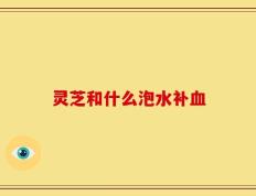 灵芝和什么泡水补血
