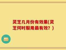灵芝几月份有效果(灵芝何时服用最有效？)