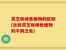 灵芝和绿色植物的区别(比较灵芝和绿色植物的不同之处)