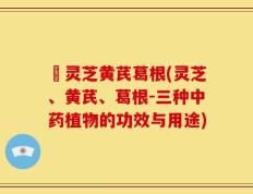 朿灵芝黄芪葛根(灵芝、黄芪、葛根-三种中药植物的功效与用途)