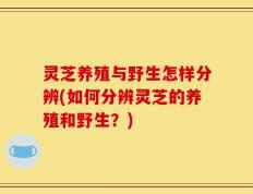 灵芝养殖与野生怎样分辨(如何分辨灵芝的养殖和野生？)