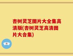 杏树灵芝图片大全集高清版(杏树灵芝高清图片大合集)