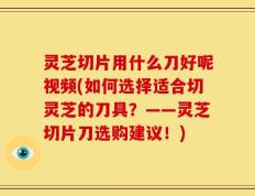 灵芝切片用什么刀好呢视频(如何选择适合切灵芝的刀具？——灵芝切片刀选购建议！)